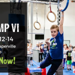 Ninja Pro Camp VI